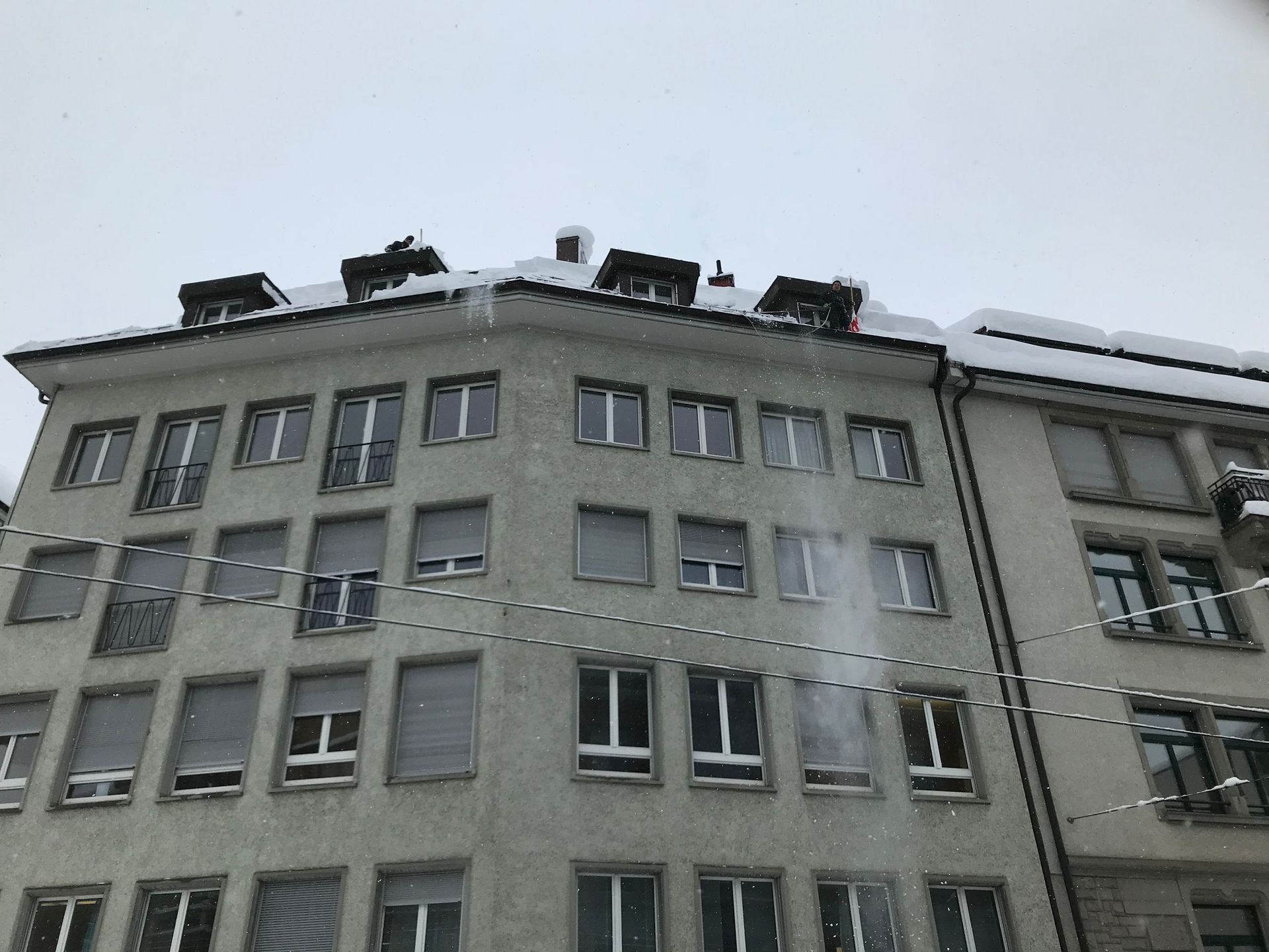 Wild + Treichler AG|St. Gallen