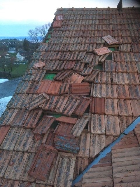 Wild + Treichler AG|St. Gallen