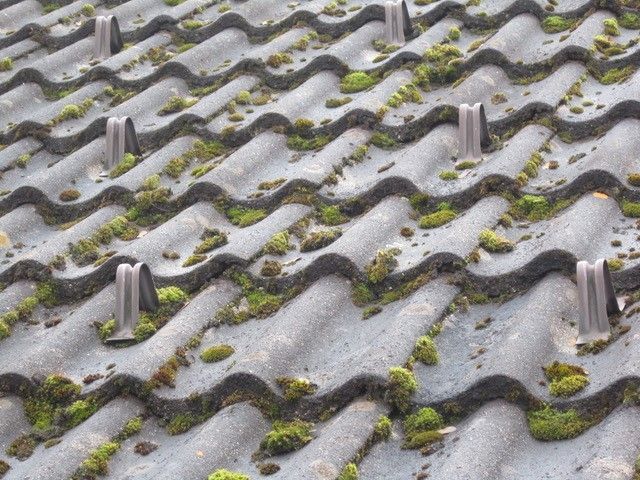 Wild + Treichler AG|St. Gallen