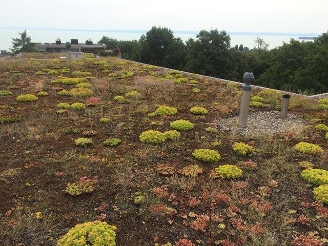 Dachunterhalt, Dachreparatur - Wild + Treichler AG - St. Gallen