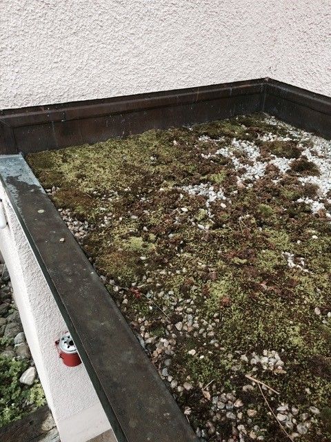 Wild + Treichler AG|St. Gallen