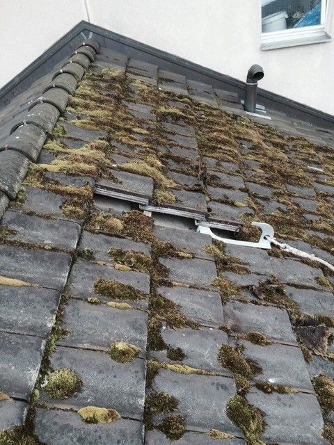 Dachunterhalt, Dachreparatur - Wild + Treichler AG - St. Gallen