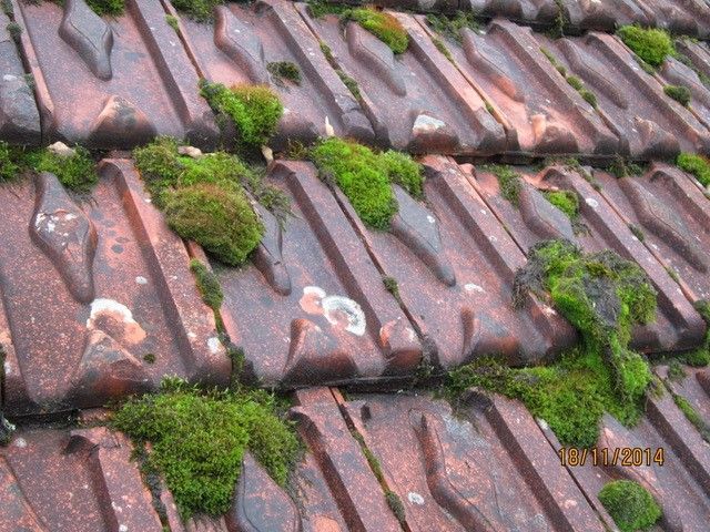 Wild + Treichler AG|St. Gallen