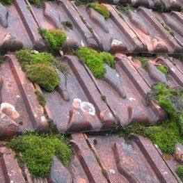 Dachdecker - Dachunterhalt, Dachreparatur - Wild + Treichler AG - St. Gallen