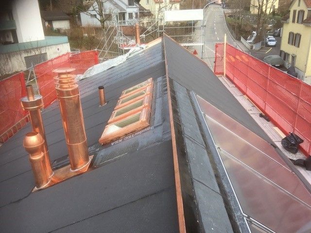 Steildach - Wild + Treichler AG - St. Gallen