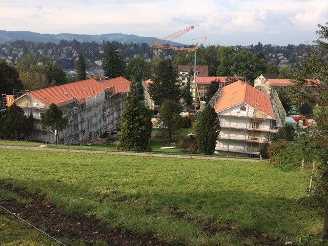 Steildach - Wild + Treichler AG - St. Gallen