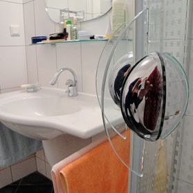 individuellen Wünsche 1