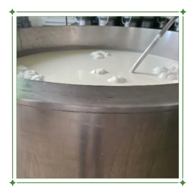 Una olla grande de acero inoxidable llena de líquido blanco.