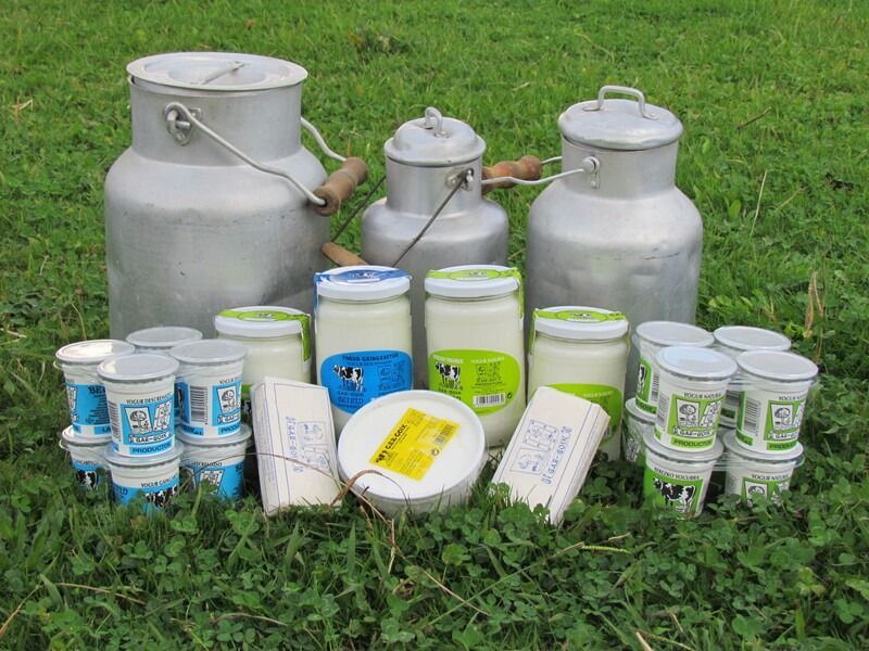 Una variedad de productos lácteos se encuentran sobre un exuberante campo verde.