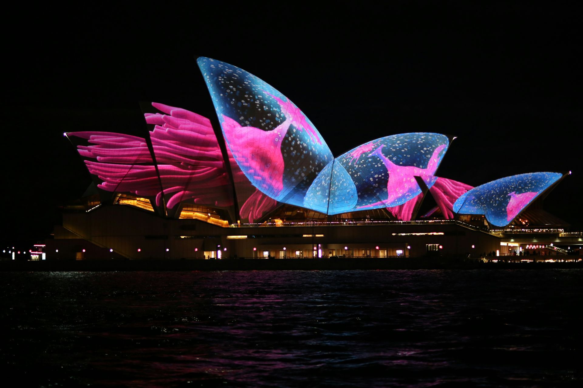Vivid sydney Accommodation