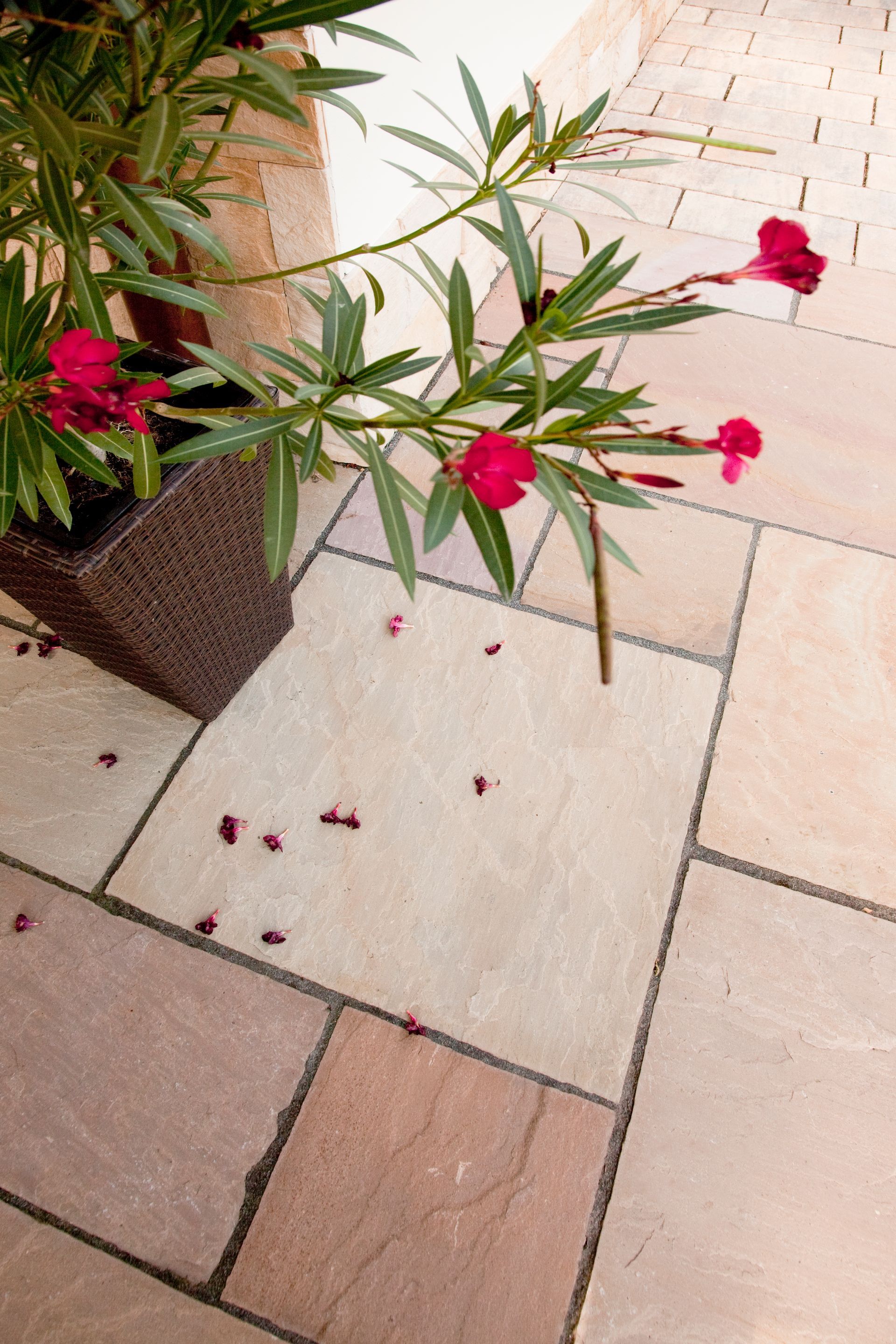 Helle Terrassenplatten mit fallenden Blütenblättern neben einem Pflanzkübel.