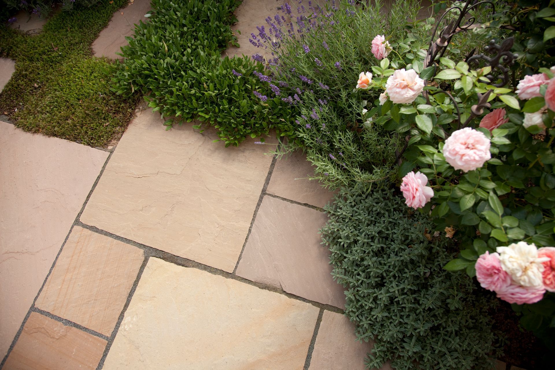 Terrassenfläche aus großformatigen Steinplatten neben Rosensträuchern.