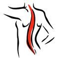 Physiotherapie Andrea Rein-logo