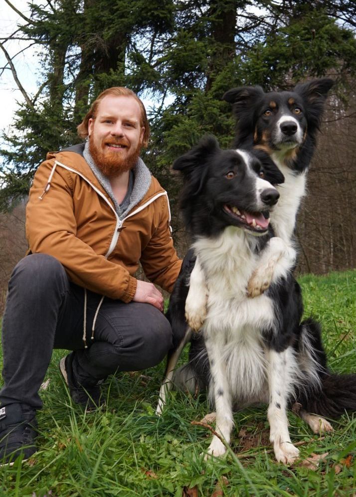 Ein Mann kniet neben zwei Border Collies im Gras.