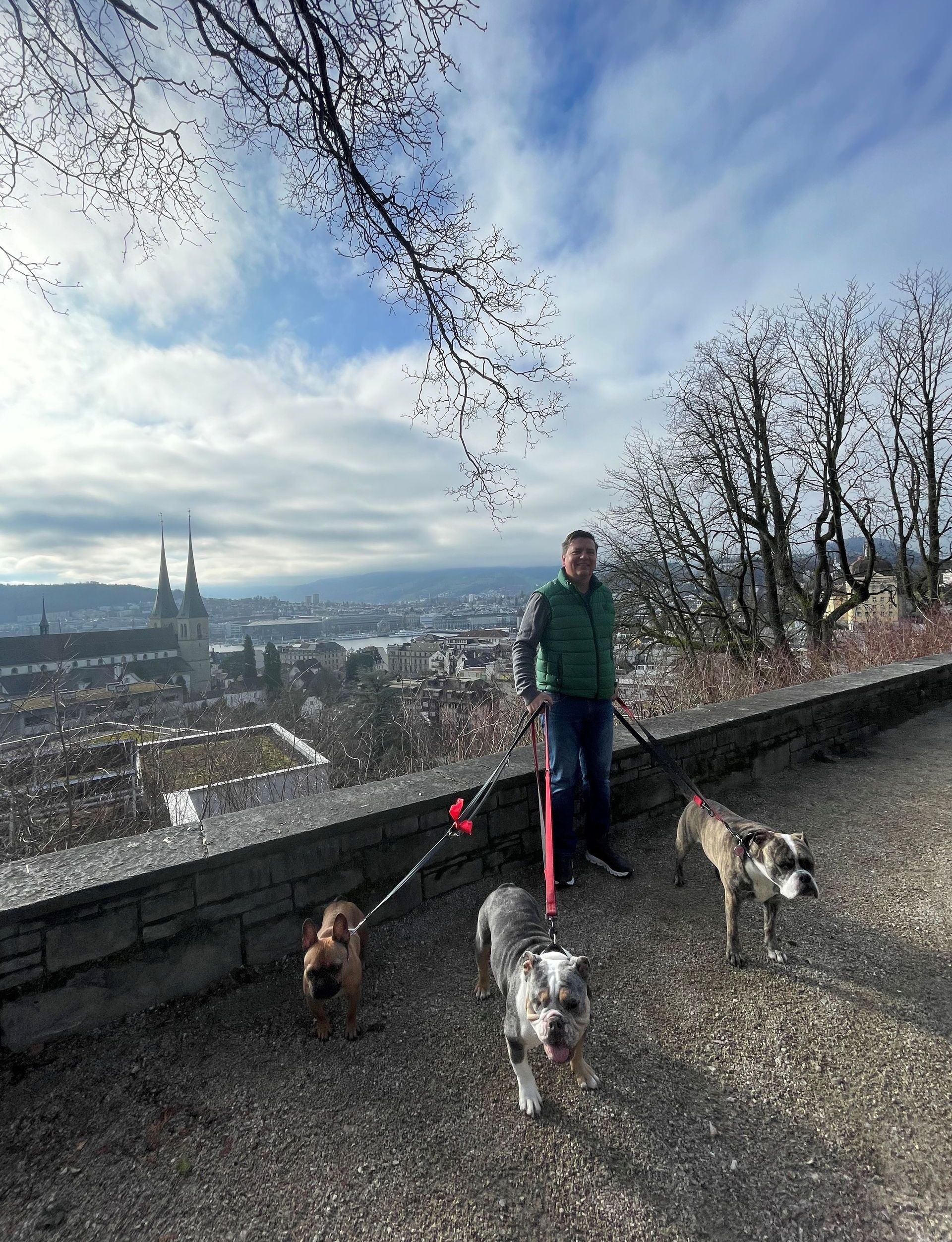 Ein Mann führt drei Hunde an der Leine spazieren.