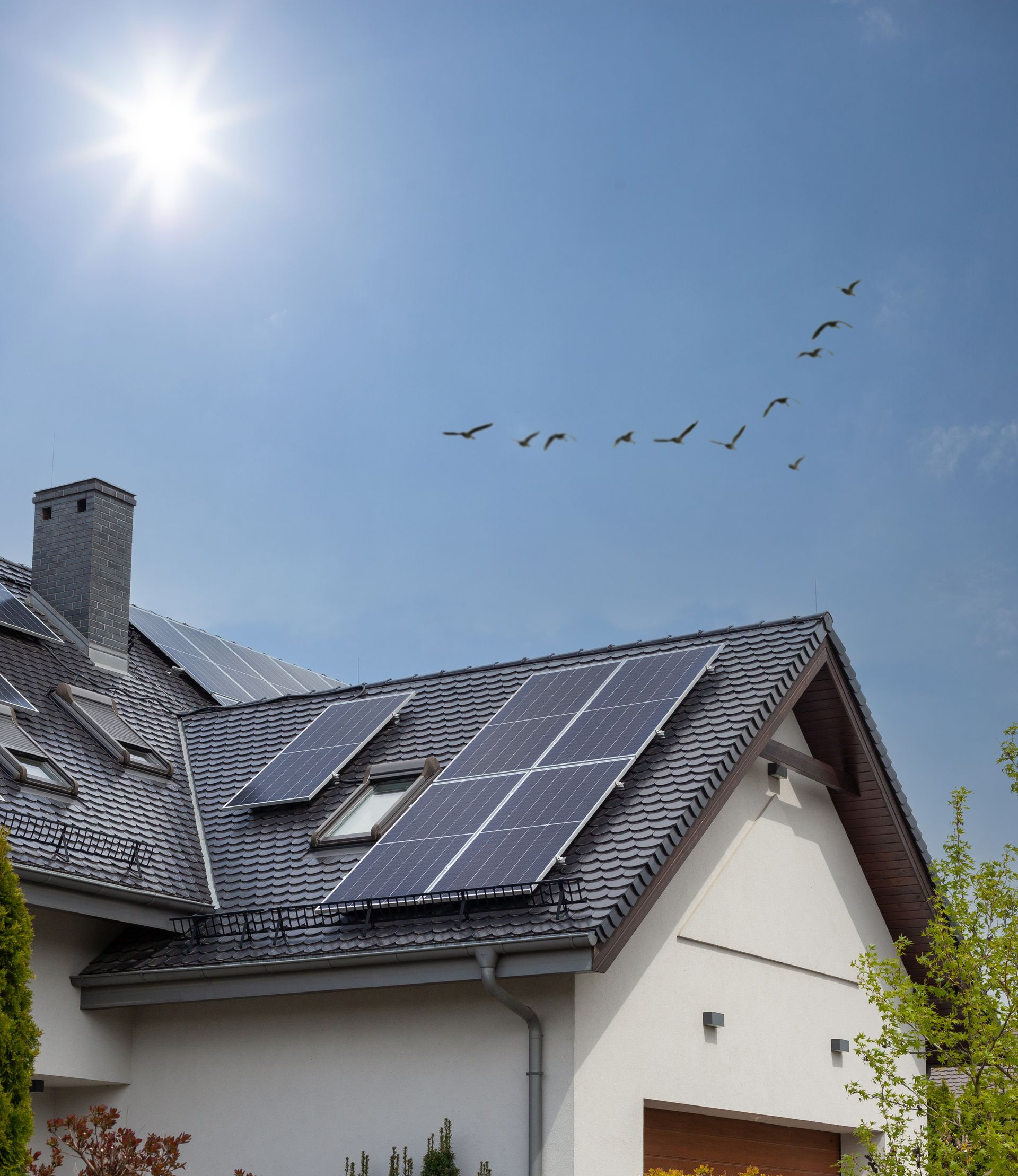 Des panneaux solaires sur un toit d'habitation sous un soleil éclatant, avec des oiseaux qui volent au-dessus.