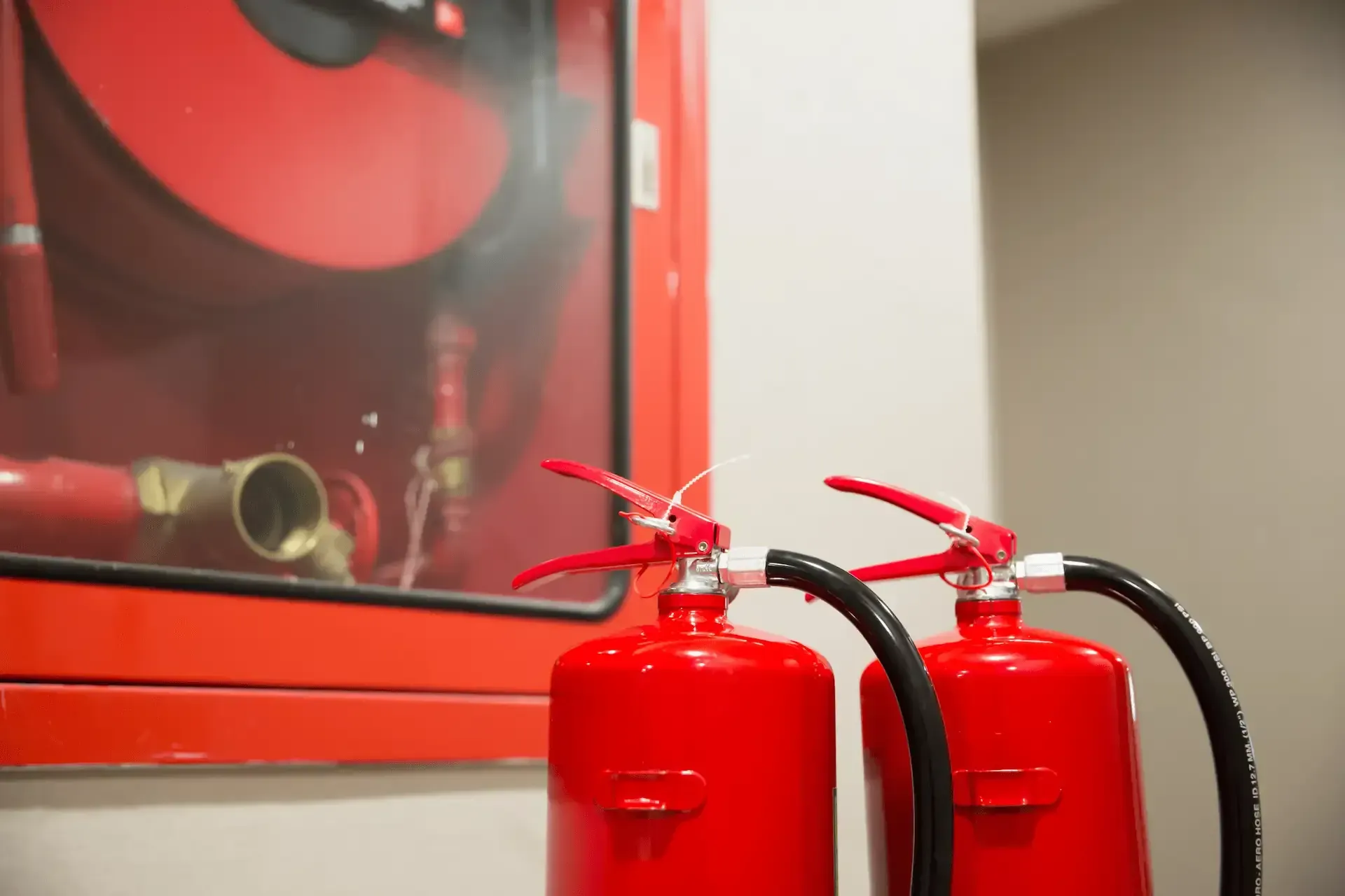 Extintores rojos y un armario con mangueras contra incendios en una pared.