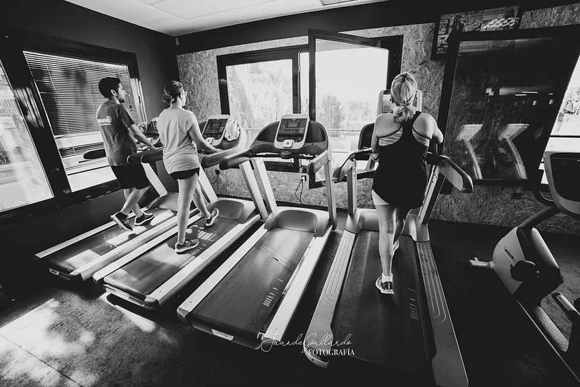 Un grupo de personas corre en cintas de correr en un gimnasio.