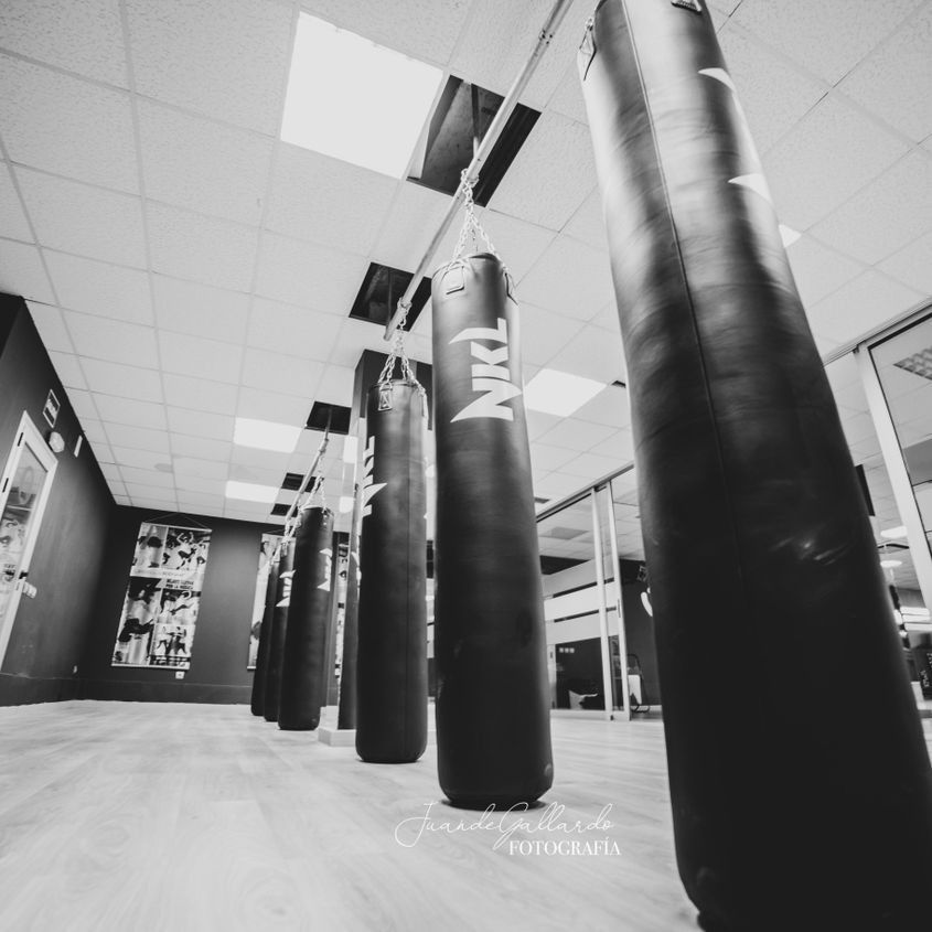 Sacos de boxeo