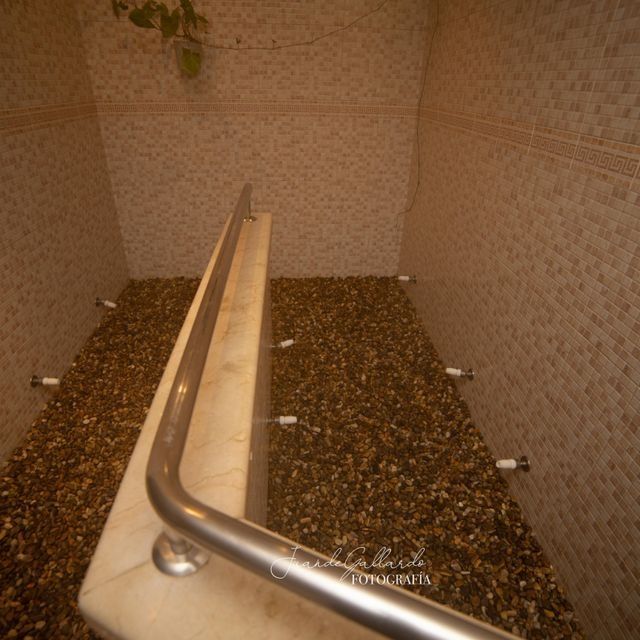 Un baño con barandilla de acero inoxidable y una planta en la pared.