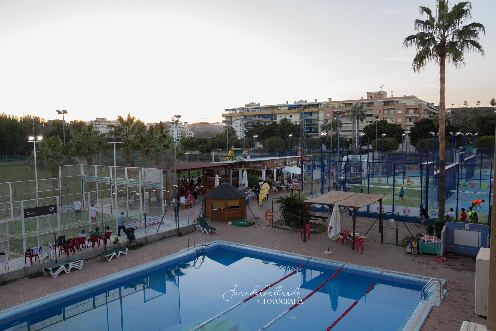 Una vista aérea de una gran piscina con una palmera al fondo.