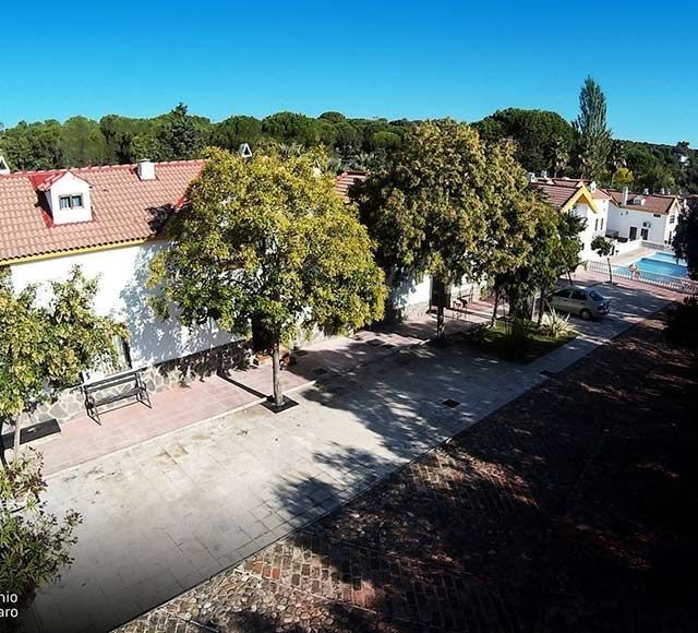 Una vista aérea de una casa con piscina y árboles.