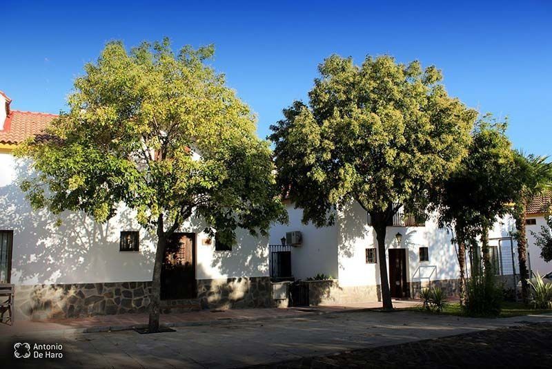 Un edificio blanco con árboles delante.