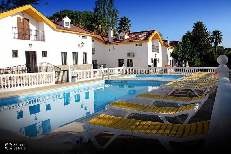 Una gran piscina rodeada de tumbonas amarillas.