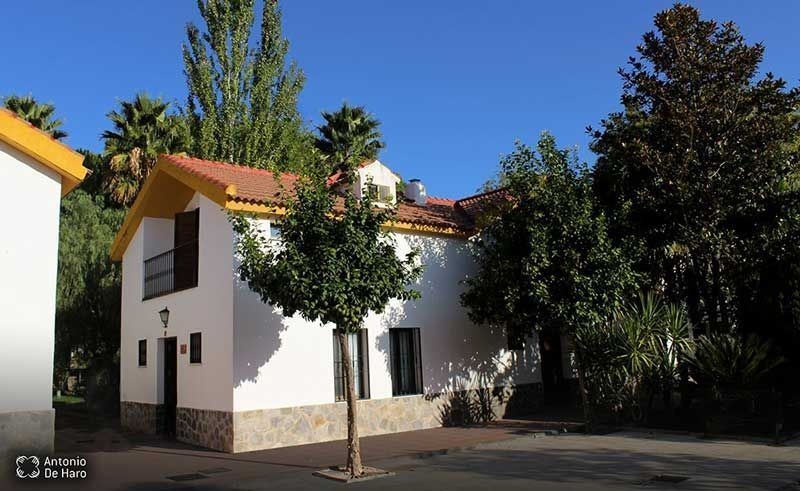 Una casa blanca con techo amarillo y árboles delante de ella.