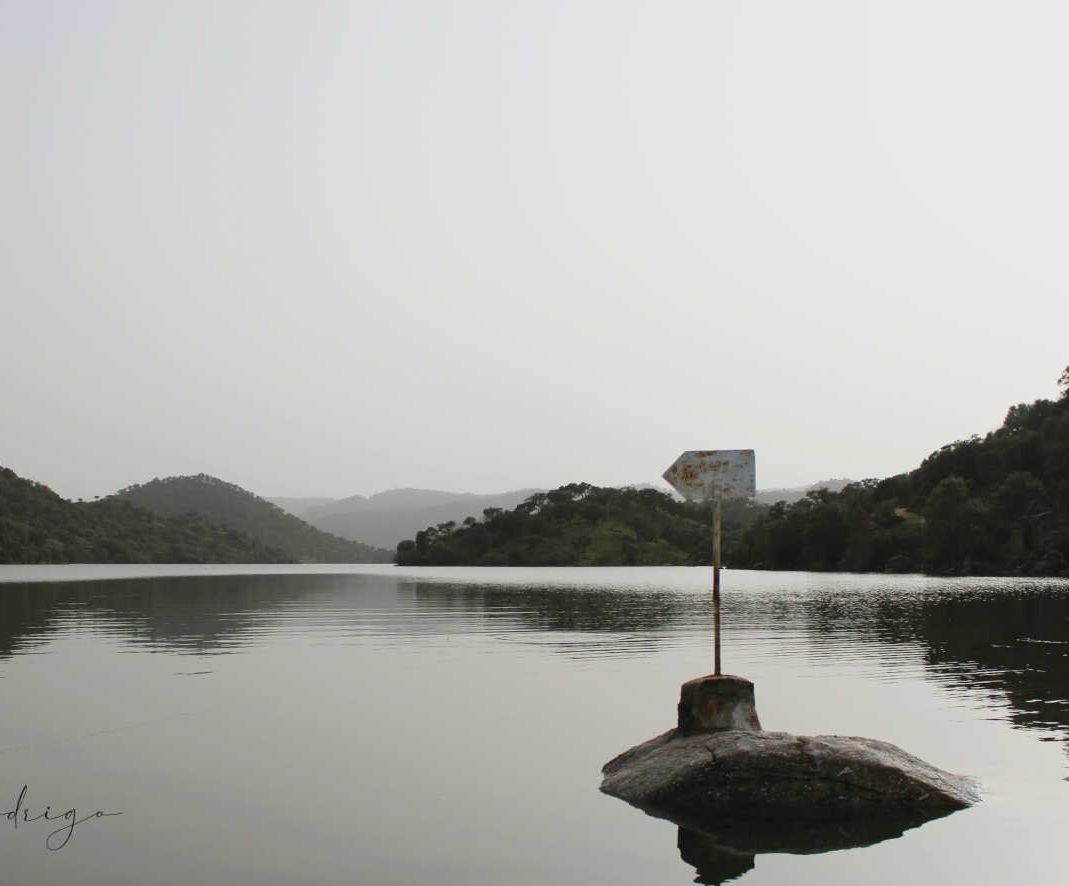 Un cartel en medio de un lago dice que no se permite bucear.