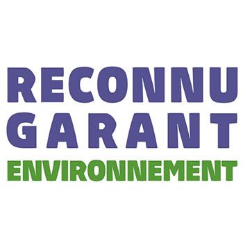 Logo RGE