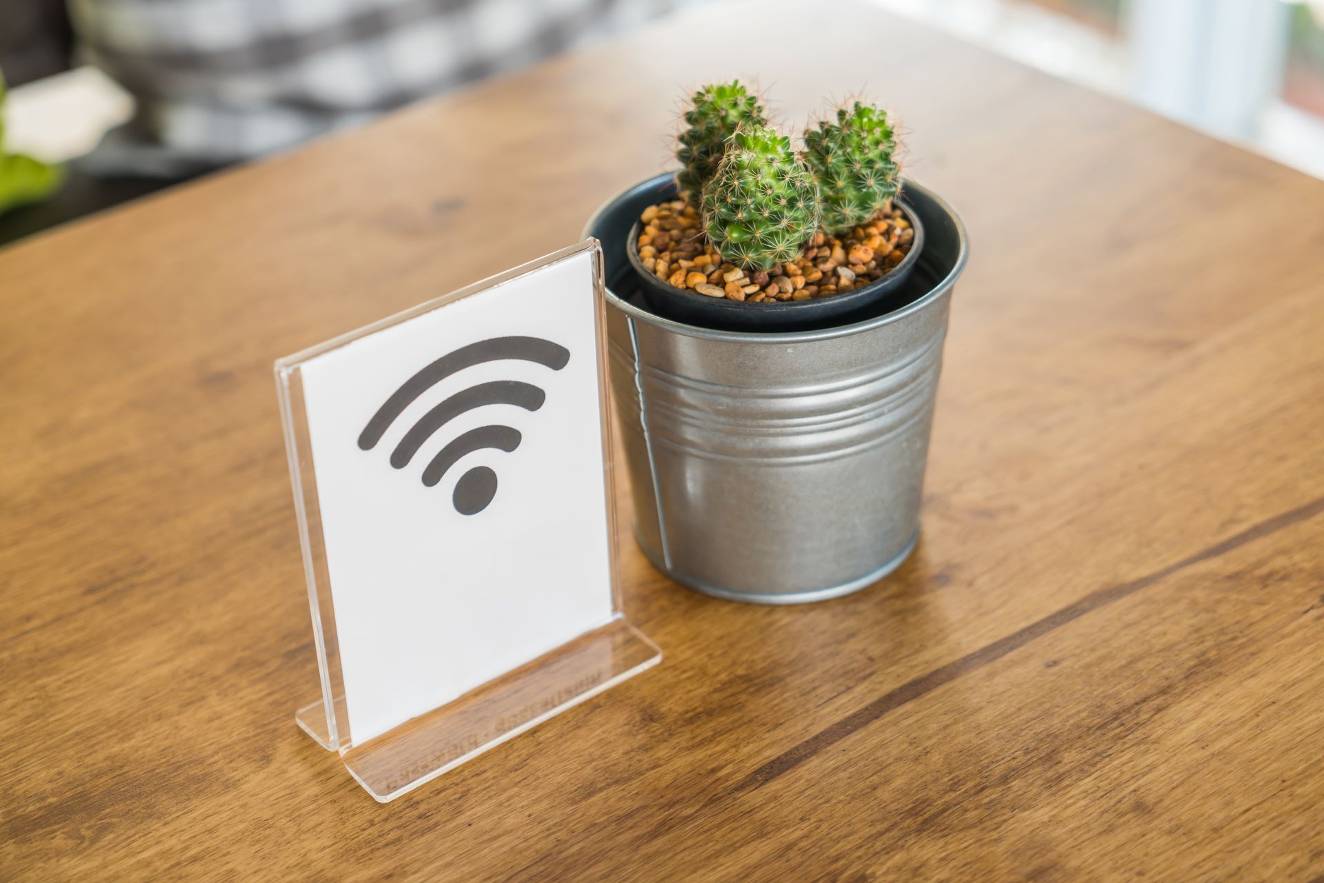 Un cactus en maceta está sobre una mesa de madera al lado de un cartel que dice wifi.