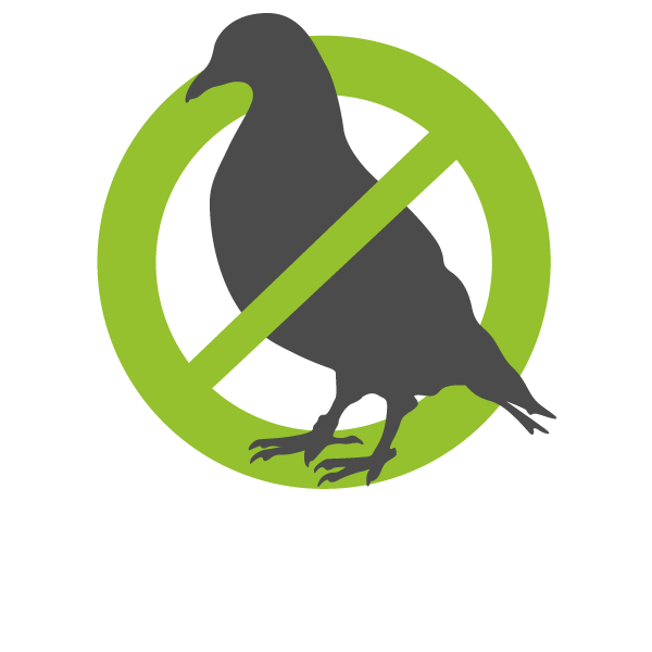 Logo pigeon barré