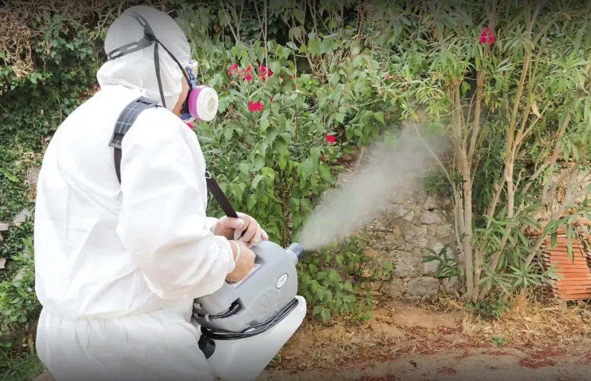 Professionnel traitant pour des insectes