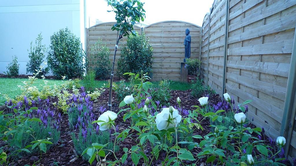 Massif de jardin avec des roses blanches, de la lavande et d'autres plantes devant une clôture en bois.
