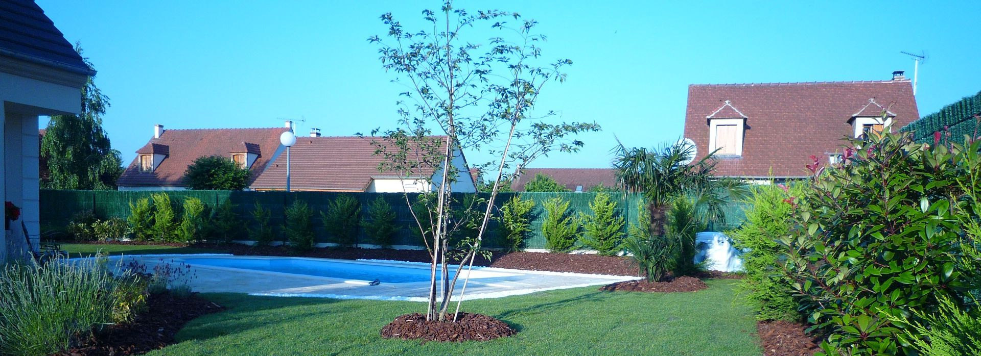 Jardin avec piscine, pelouse, petit arbre et maisons en arrière-plan sous un ciel bleu.