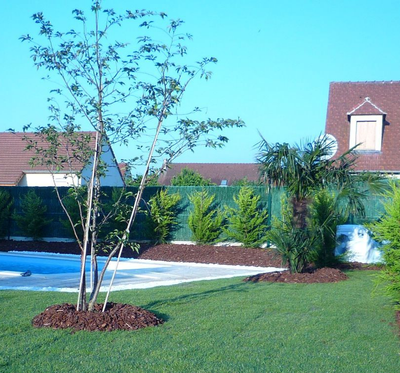 Pelouse arborée et piscine dans un jardin ; maisons en arrière-plan par une journée ensoleillée.