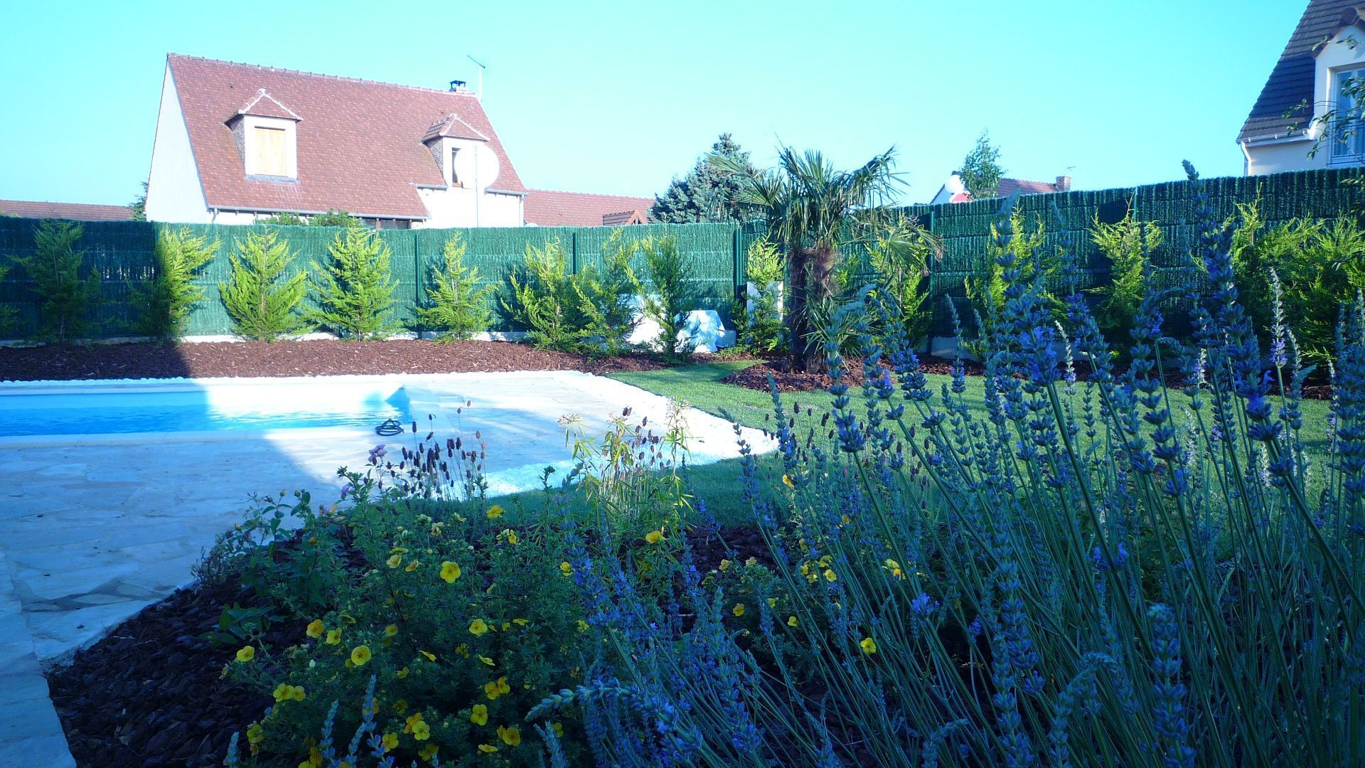 Jardin luxuriant avec de la lavande et d'autres plantes bordant une piscine et une clôture verte, maisons en arrière-plan.