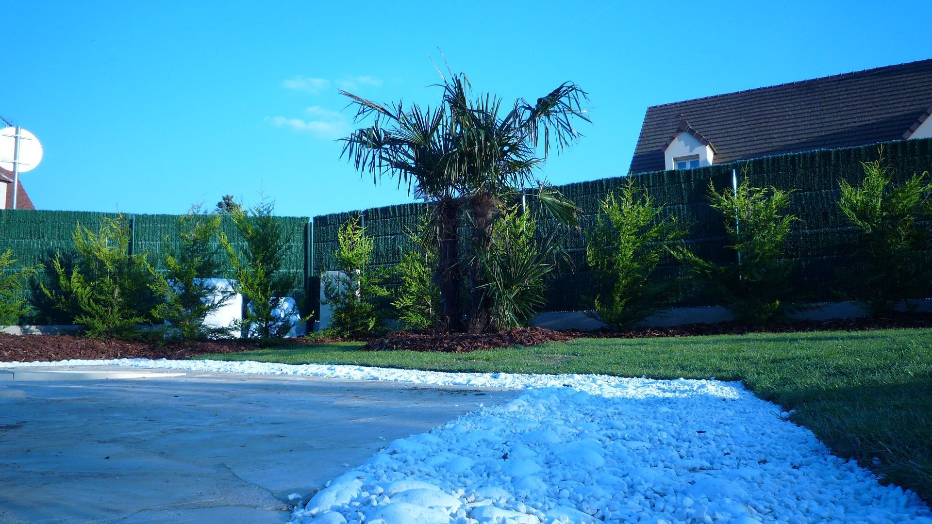 Palmiers et verdure dans une cour avec des pierres blanches au premier plan et un ciel bleu.