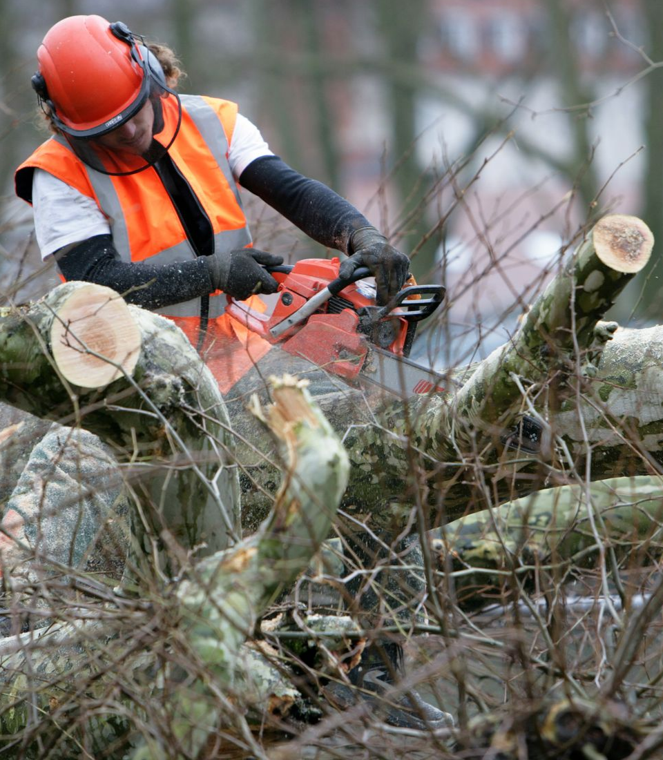 Paysagiste en gilet et casque orange coupant des branches à la tronçonneuse.