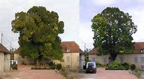 Deux arbres encadrent un bâtiment au toit rouge, une voiture est garée devant.