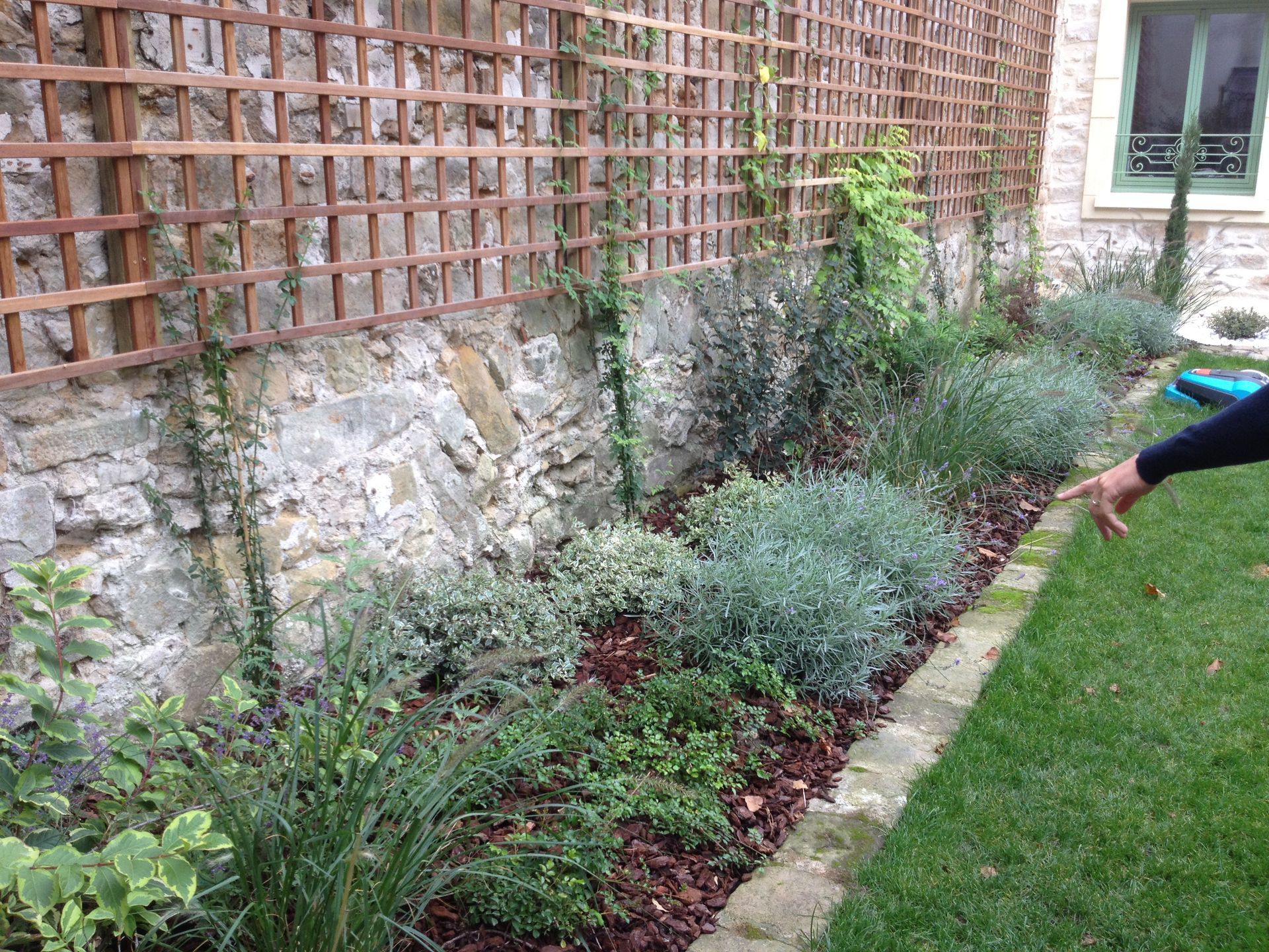 Massif de jardin avec diverses plantes adossé à un mur de pierre avec treillis en bois. Pelouse verte à droite.