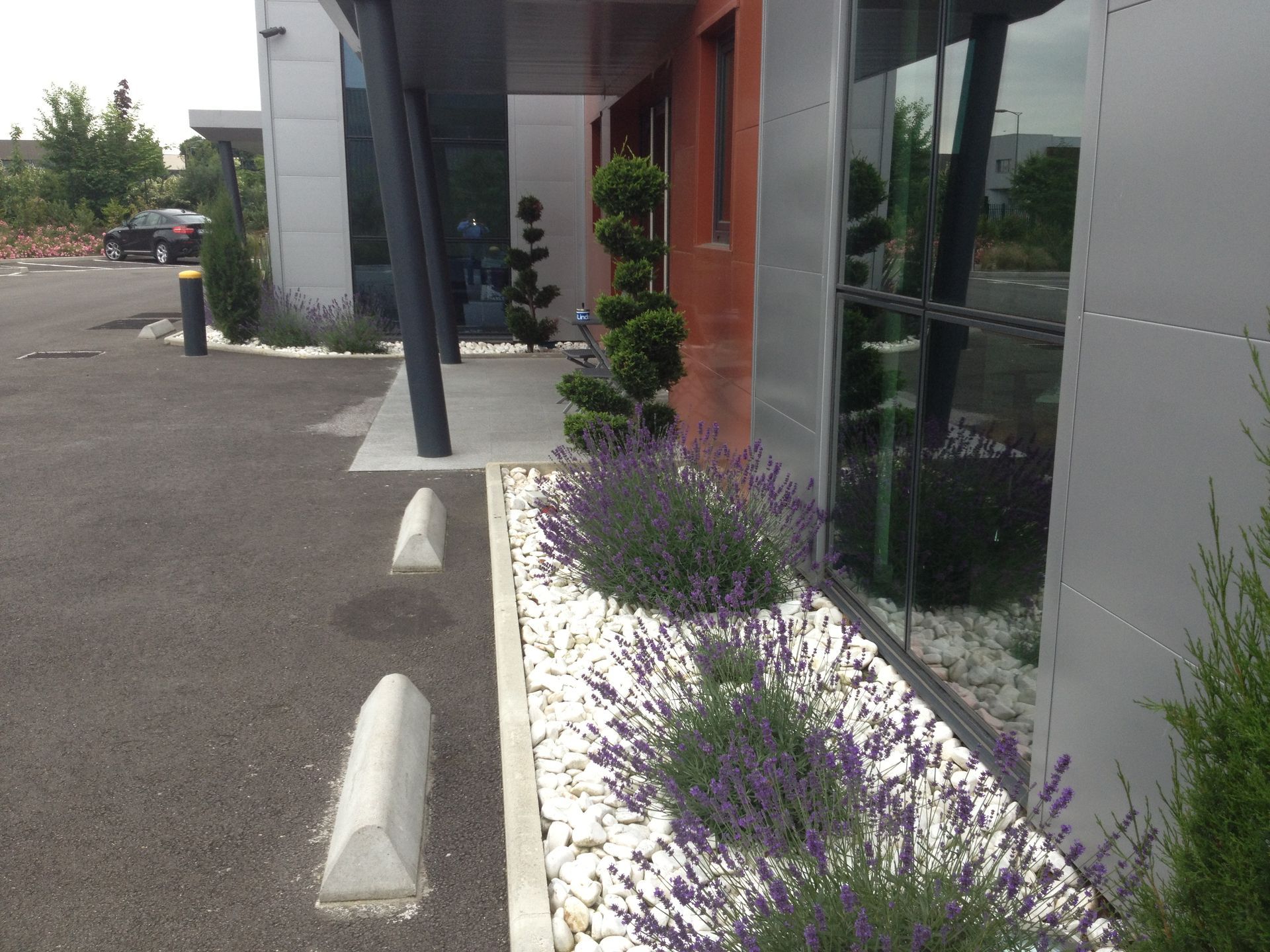 Extérieur du bâtiment orné de buissons de lavande et de pierres décoratives bordant une allée.