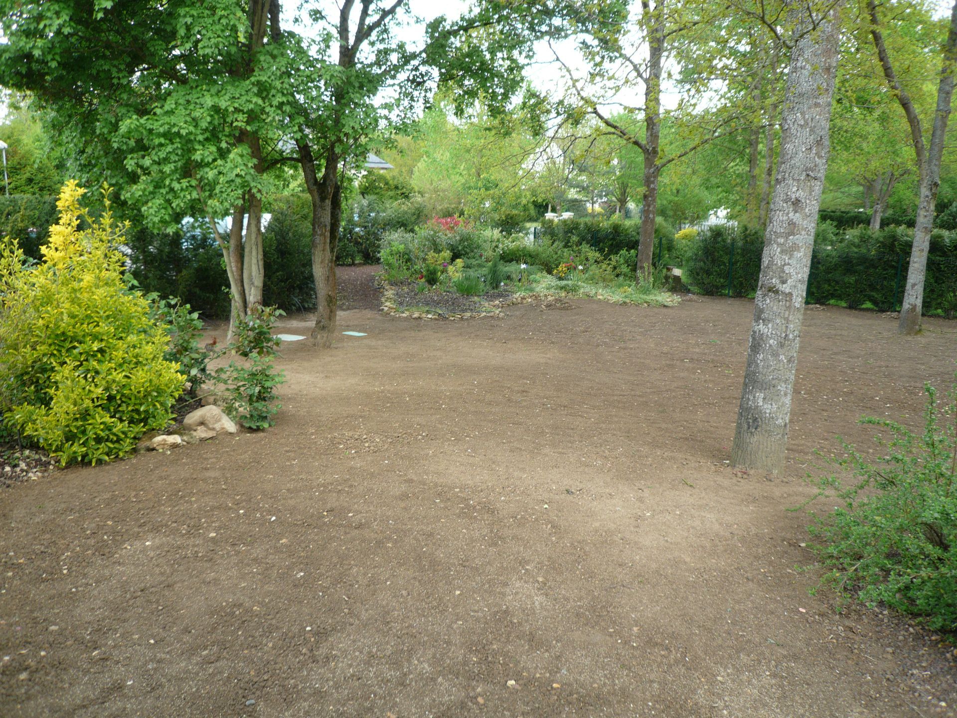 Terrain vague entouré d'arbres et de verdure, dans un cadre semblable à un parc.