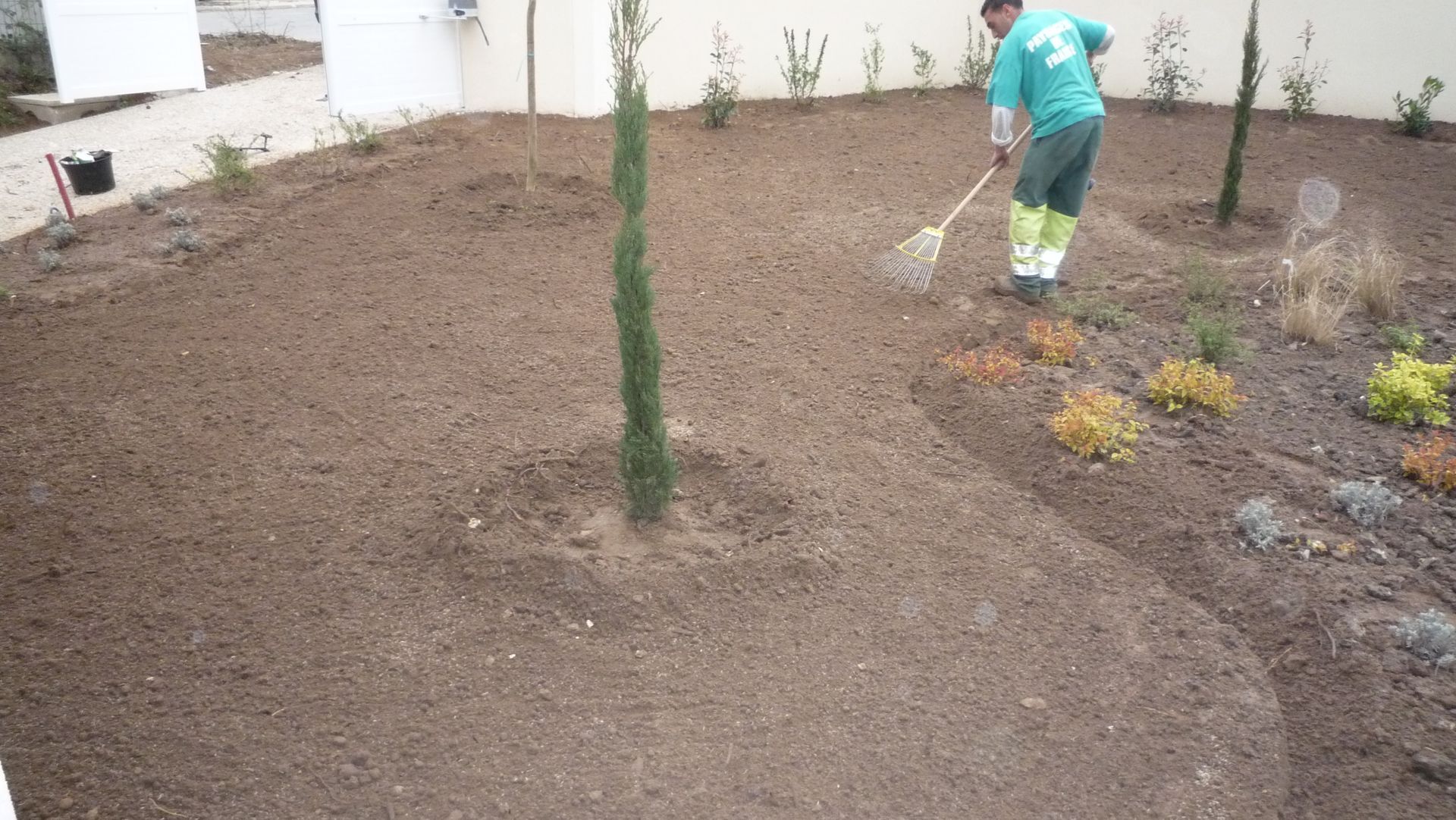 Un paysagiste ratisse la terre d'un parterre de jardin où des cyprès et des arbustes nouvellement plantés s'adossent à un mur clair.