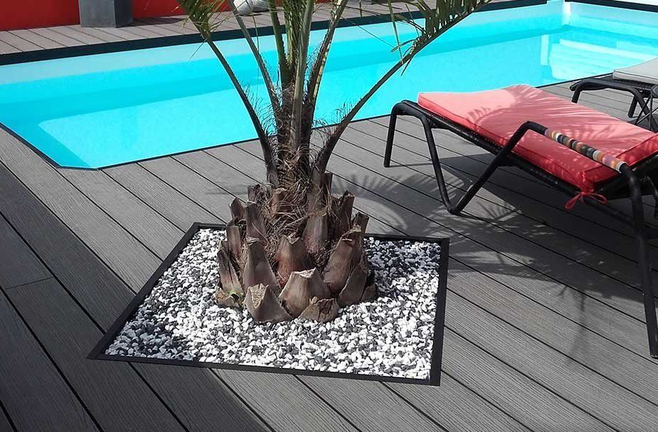 Un palmier entouré de galets blancs et noirs se dresse sur une terrasse grise, à côté d'une piscine et d'une chaise longue rouge.
