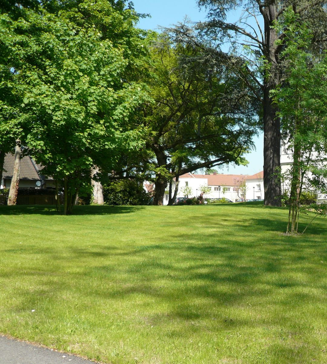 Parterre de fleurs et de plantes variées devant un bâtiment.