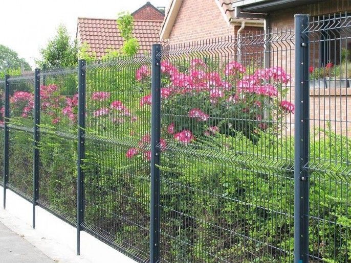 Clôture en métal noir avec feuillage vert et fleurs roses devant une maison.