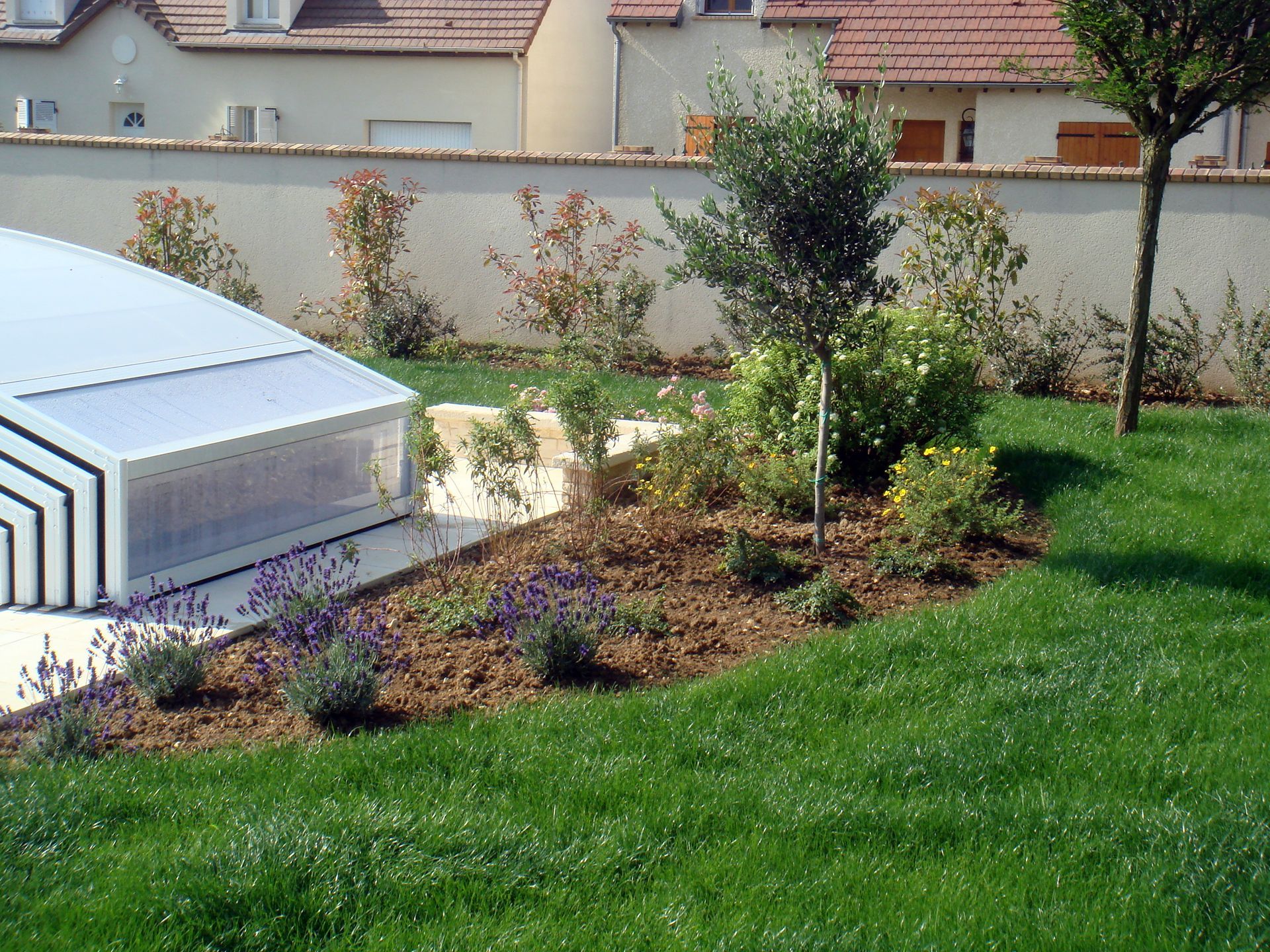 Jardin arrière avec couverture de piscine, arbres et parterre de fleurs bordant une pelouse verte et un mur beige.