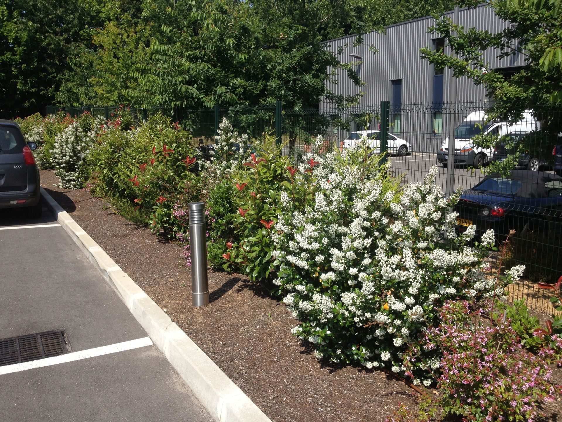 Parking avec arbustes fleuris et poteaux.